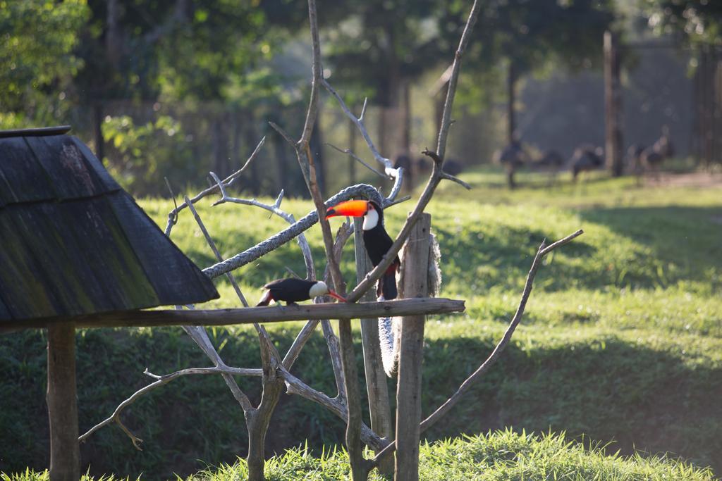 Hotel Portobello Resort & Safari Mangaratiba Luaran gambar